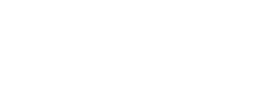 WHITE LOGO 2